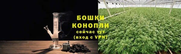 трава Белокуриха