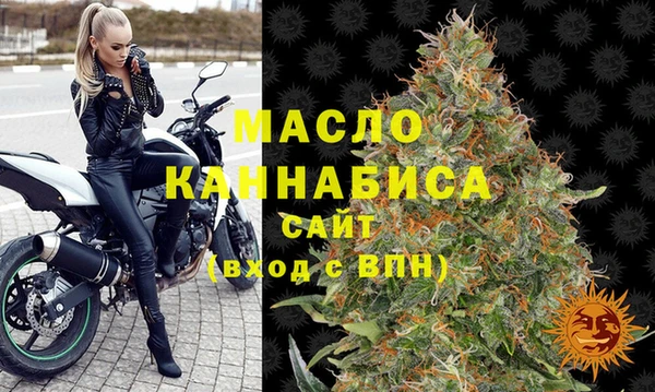 spice Богородицк