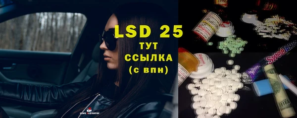 spice Богородицк