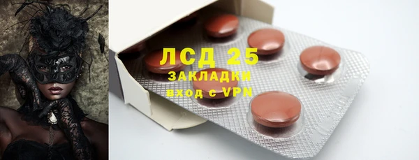 прущий лед Богданович
