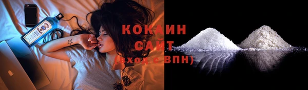 стаф Богородск
