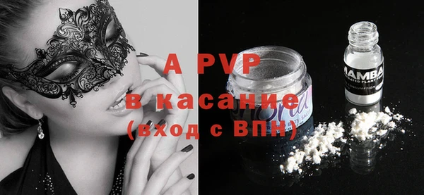 прущий лед Богданович