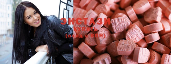 spice Богородицк