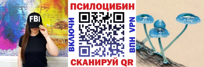 хочу   Микунь  Псилоцибиновые грибы Psilocybine cubensis 